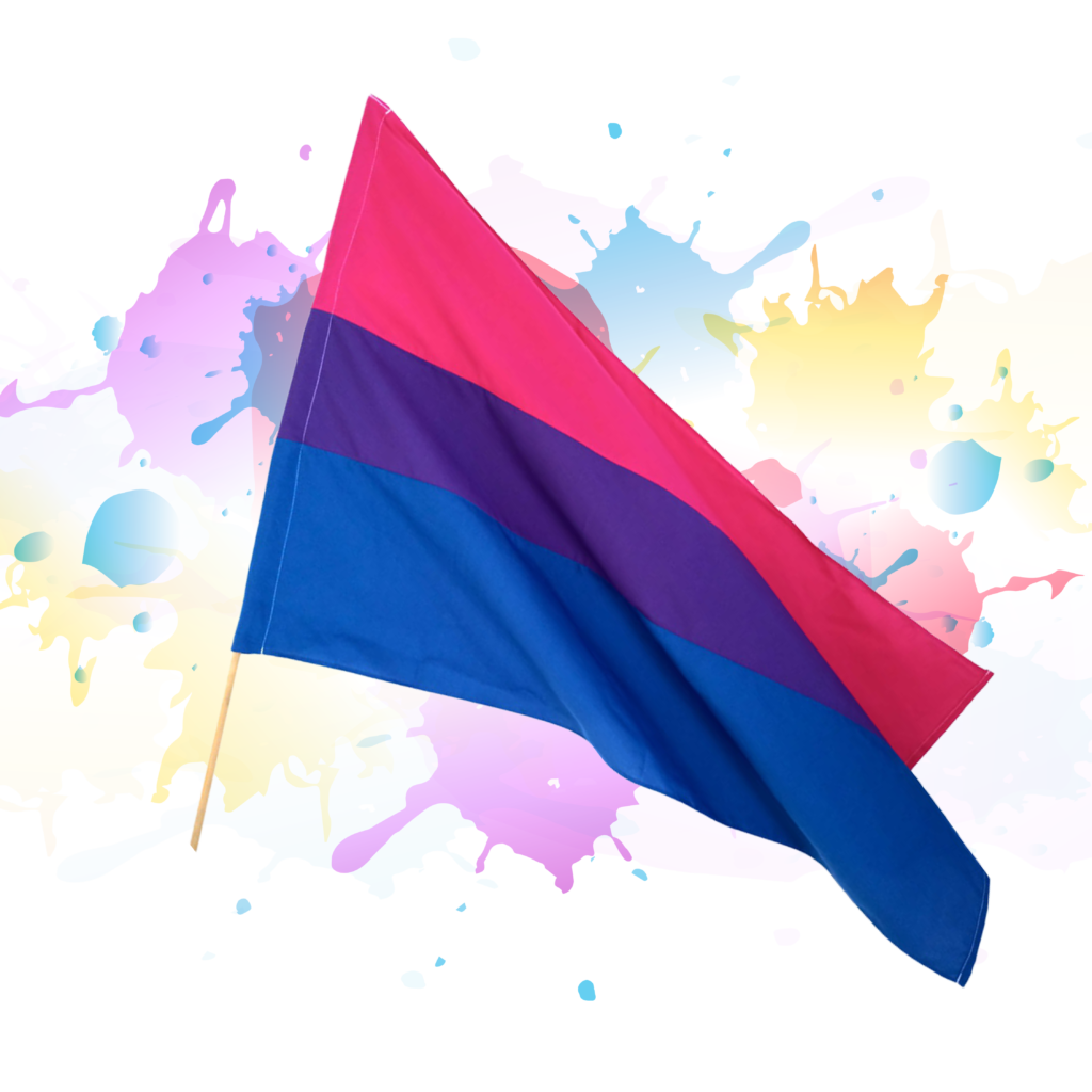 BANDERA BISEXUAL